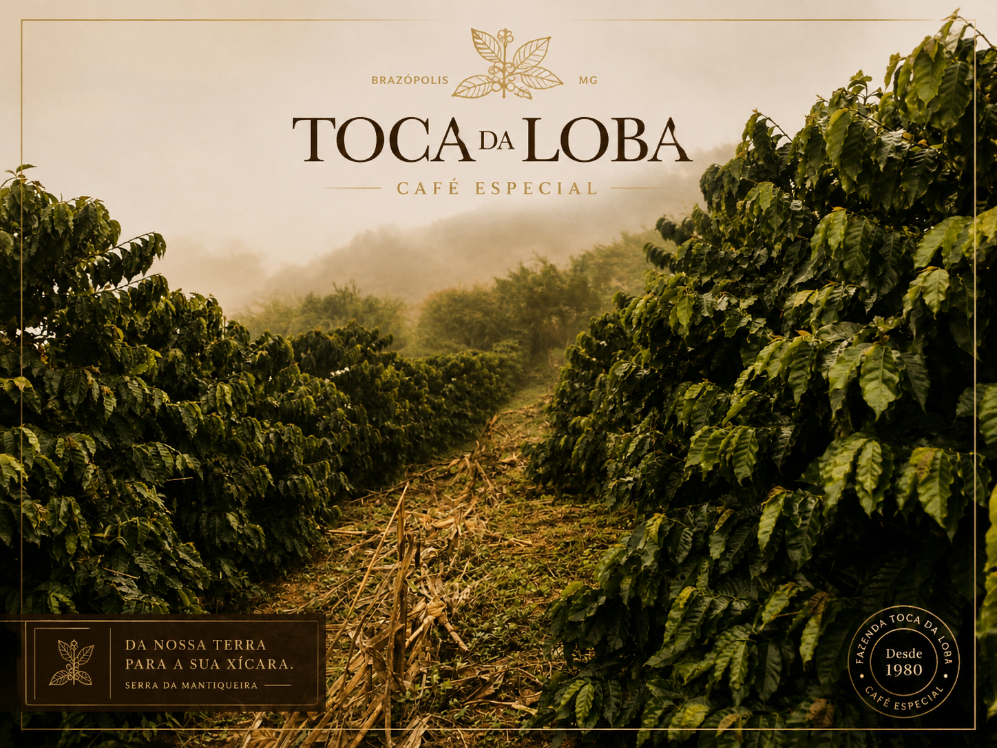 Café Toca da Loba no pé